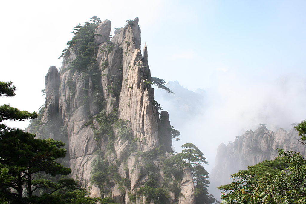 huangshan mao feng tea